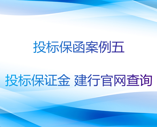 投标保函案例五：投标保证金